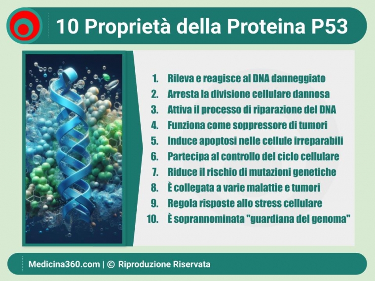 Proteina P53 e Gene TP53: Il Ruolo Cruciale nel Controllo Cellulare e nella Ricerca sul Cancro