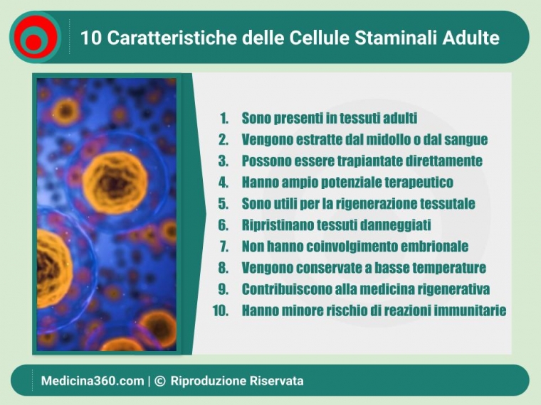 Cellule Staminali Adulte: Guida Completa alla Ricerca e alle Terapie