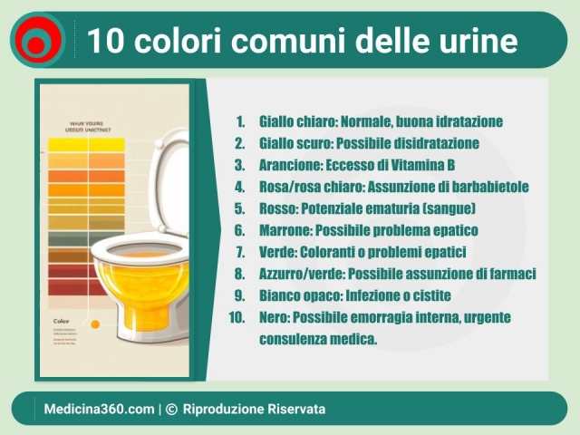 Colore delle Urine: Guida Completa per Capire Cosa Indica - Sintomi e  Diagnosi