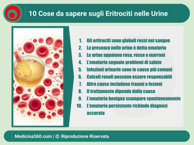 Globuli rossi (RBC nel sangue): Alti? Bassi? Ecco le cause più comuni