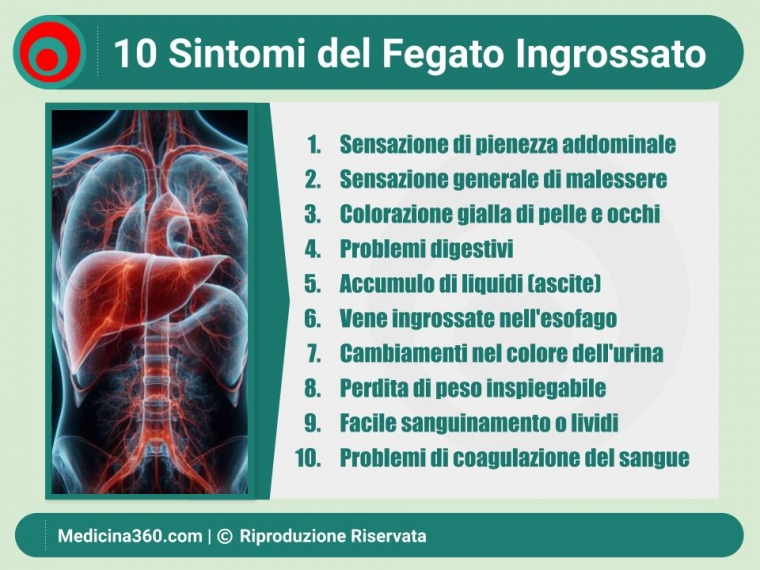 Fegato Ingrossato: Cause, Sintomi e Trattamento