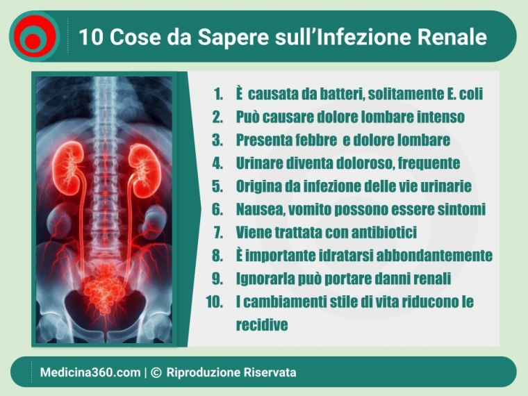 Guida Completa all'Infezione Renale: Sintomi, Cause, Trattamenti e Prevenzione