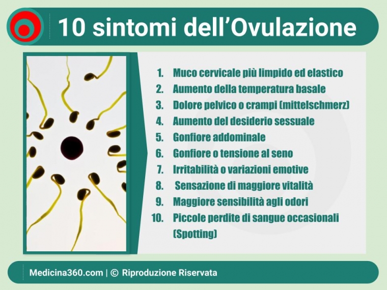 Sintomi dell'Ovulazione: Guida Completa e Consigli Utili